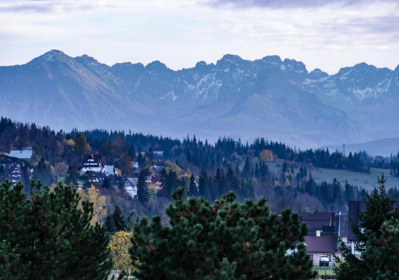 Domki "Na Dziedzinie" Z Goraca Balia Szaflary Exteriér fotografie